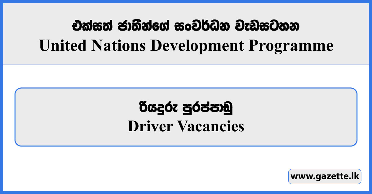 Driver - United Nations Development Programme Vacancies 2025