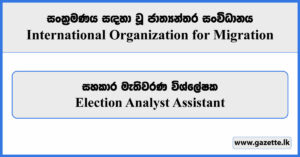 Election Analyst Assistant - International Organization for Migration Vacancies 2024