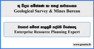 Enterprise Resource Planning Expert - Geological Survey & Mines Bureau Vacancies 2024