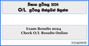 Exam Results 2024 Check OL Results Online