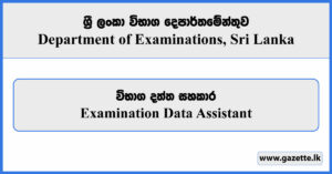 Examination Data Assistant - Department of Examinations Vacancies 2024