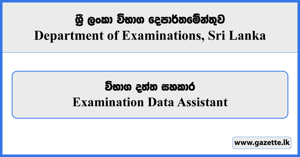 Examination Data Assistant - Department of Examinations Vacancies 2024