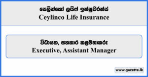 Executive, Assistant Manager - Ceylinco Life Insurance Vacancies 2024