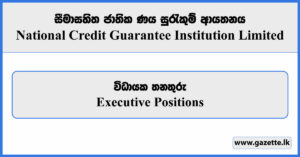 Executive Positions - National Credit Guarantee Institution Limited Vacancies 2024