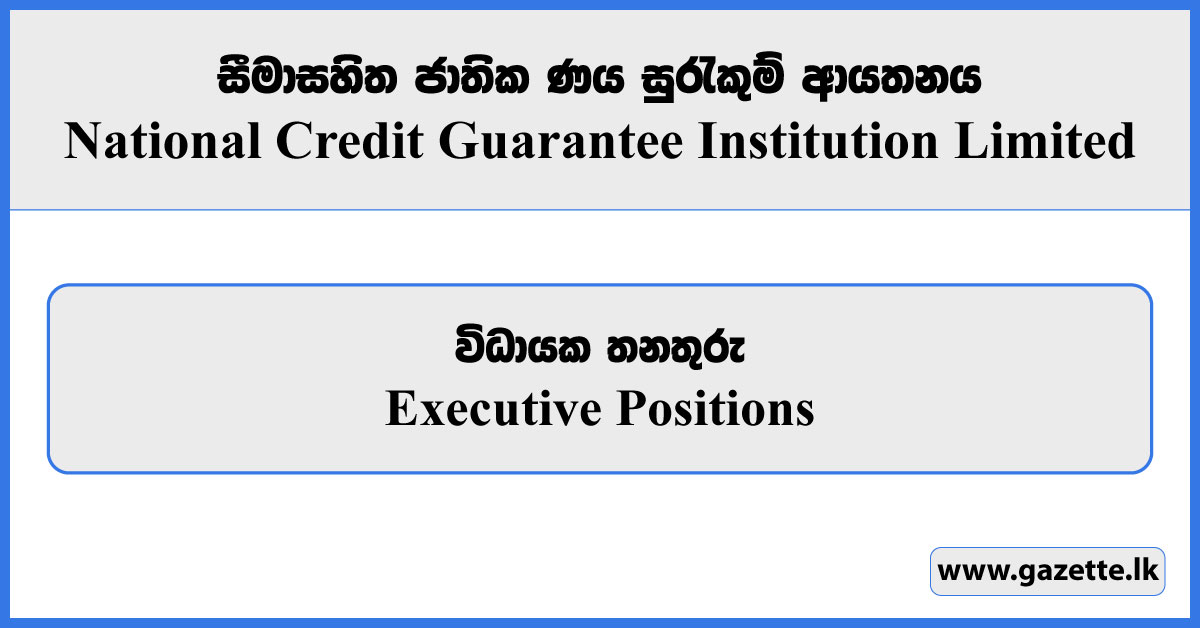 Executive Positions - National Credit Guarantee Institution Limited Vacancies 2024