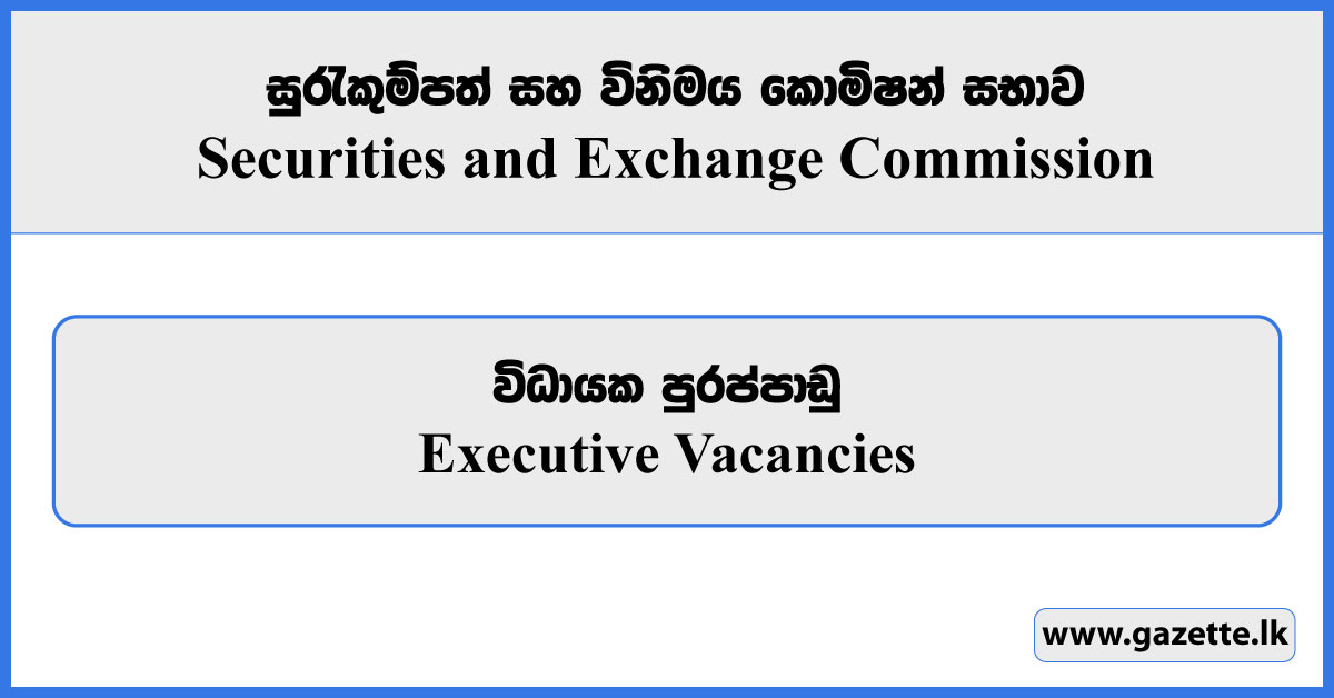 Executive - Securities and Exchange Commission Vacancies 2024