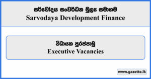 Executive - Sarvodaya Development Finance Vacancies 2024