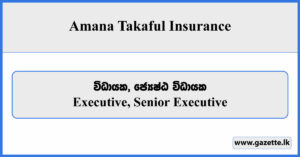 Executive, Senior Executive - Amana Takaful Insurance Vacancies 2024