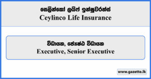 Executive, Senior Executive - Ceylinco Life Insurance Vacancies 2024