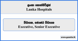 Executive, Senior Executive - Lanka Hospitals Vacancies 2024