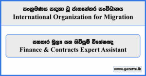 Finance & Contracts Expert Assistant - International Organization for Migration Vacancies 2024