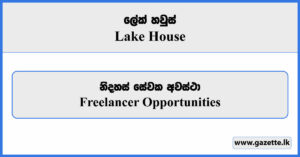 Freelancer - Lake House Vacancies 2024