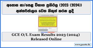 GCE-OL-Exam-Results-2023-(2024)