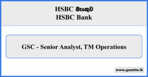 GSC - Senior Analyst, TM Operations - HSBC Bank Vacancies 2024