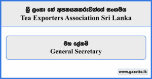 General Secretary - Tea Exporters Association Vacancies 2024