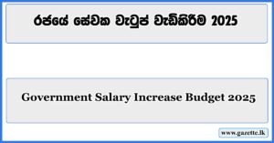 Government-Salary-Increase-Budget-2025