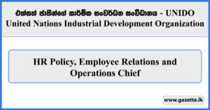 HR Policy, Employee Relations and Operations Chief - United Nations Industrial Development Organization Vacancies 2024