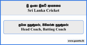 Head Coach, Batting Coach - Sri Lanka Cricket Vacancies 2024