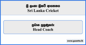 Head Coach - Sri Lanka Cricket Vacancies 2024