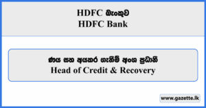 Head of Credit & Recovery - HDFC Bank Vacancies 2024