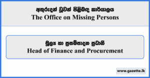 Head of Finance and Procurement - The Office on Missing Persons Vacancies 2024