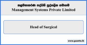 Head of Surgical - Management Systems Private Limited Vacancies 2024