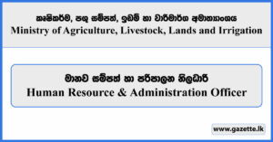 Human Resource & Administration Officer - Ministry of Agriculture, Livestock, Lands and Irrigation Vacancies 2024