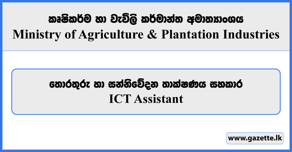 ICT Assistant - Ministry of Agriculture and Plantation Industries Vacancies 2024