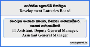 IT Assistant, Deputy General Manager, Assistant General Manager - Development Lotteries Board Vacancies 2024