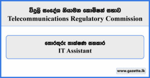 IT Assistant - Telecommunications Regulatory Commission Vacancies 2024