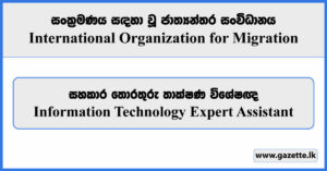 Information Technology Expert Assistant - International Organization for Migration Vacancies 2024