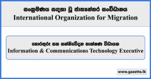 Information & Communications Technology Executive - International Organization for Migration Vacancies 2024