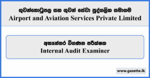 Internal Audit Examiner - Airport & Aviation Services Private Limited Vacancies 2025