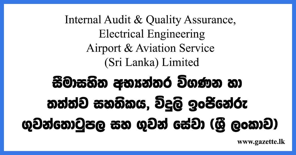 Internal Audit Quality Assurance Electrical Engineering Airport 