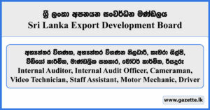 Internal Auditor, Internal Audit Officer, Cameraman, Video Technician, Staff Assistant, Motor Mechanic, Driver - Sri Lanka Export Development Board Vacancies 2024