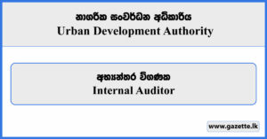 Internal Auditor - Urban Development Authority Vacancies 2024