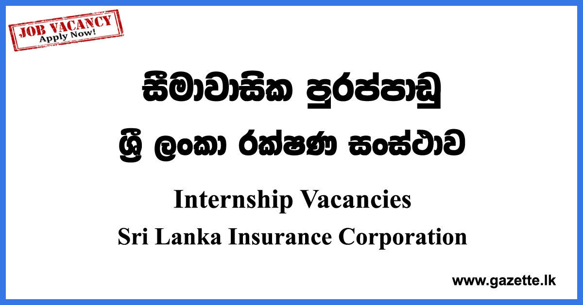 Internship Vacancies Sri Lanka Insurance Corporation Vacancies 2023 