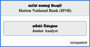 Junior Analyst - Hatton National Bank Vacancies 2024
