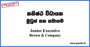 Junior Executive Jobs