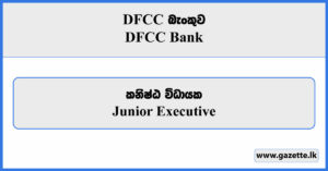 Junior Executive - DFCC Bank Vacancies 2024