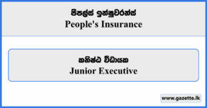 Junior Executive - People's Insurance Vacancies 2024
