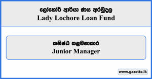 Junior Manager - Lady Lochore Loan Fund Vacancies 2024