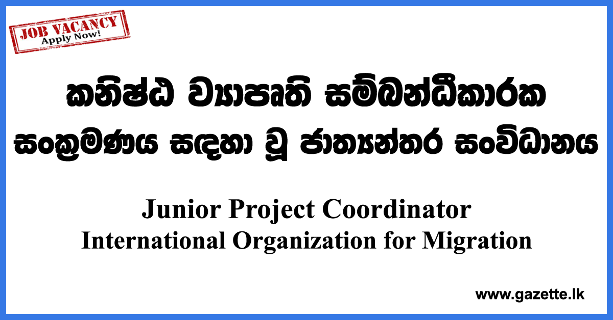 junior-project-coordinator-international-organization-for-migration