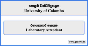 Laboratory Attendant (IBMBB) - University of Colombo Vacancies 2024