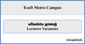 Lecturer - Esoft Metro Campus Vacancies 2024