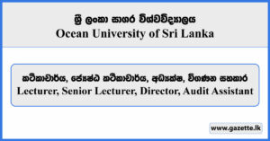 Lecturer, Senior Lecturer, Director, Audit Assistant - Ocean University of Sri Lanka Vacancies 2024