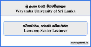 Lecturer, Senior Lecturer - Wayamba University of Sri Lanka Vacancies 2024