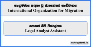 Legal Analyst Assistant - International Organization for Migration Vacancies 2024