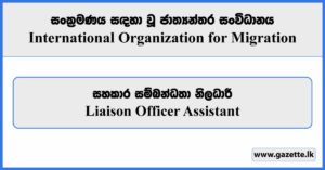 Liaison Officer Assistant - International Organization for Migration Vacancies 2024