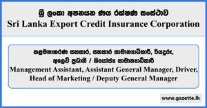 Management Assistant, Head of Marketing / Deputy General Manager, Assistant General Manager, Driver - Sri Lanka Export Credit Insurance Corporation Vacancies 2024
